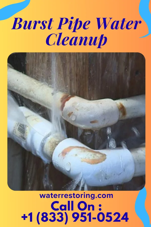 Burst Pipe Water Cleanup in Frankfort, KY