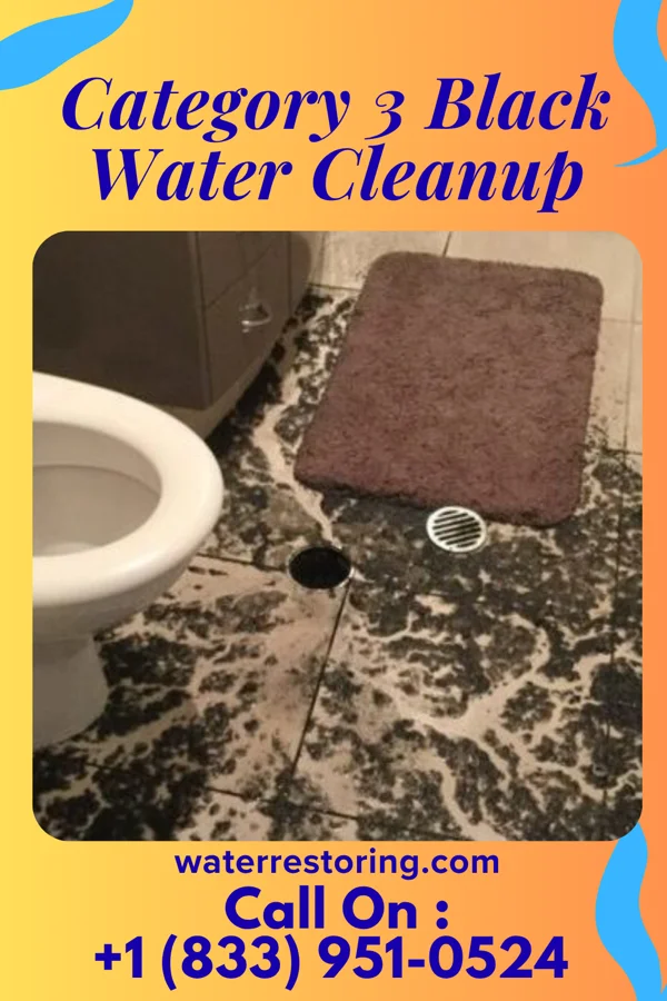 Category 3 Black Water Cleanup in Frankfort, KY