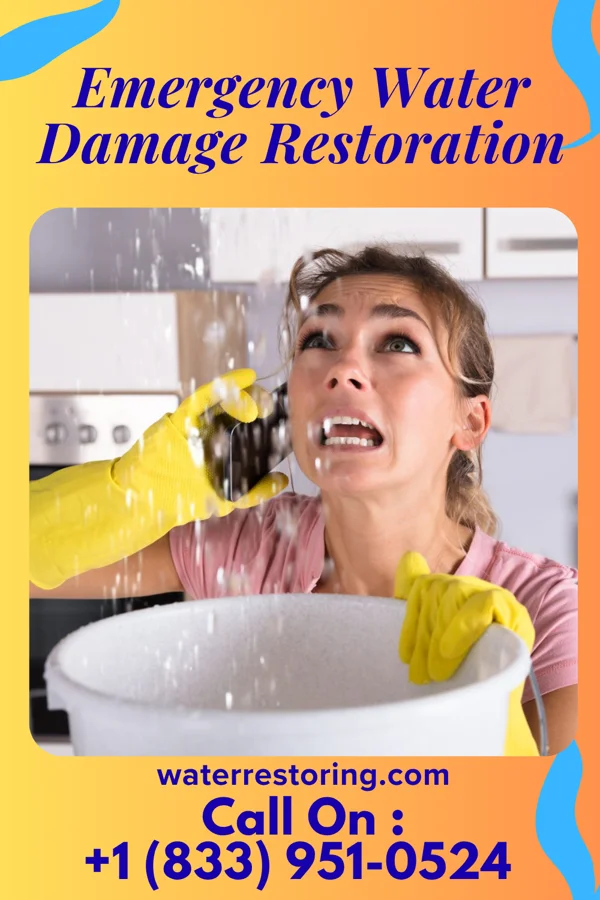 Emergency Water Damage Restoration in Frankfort, KY