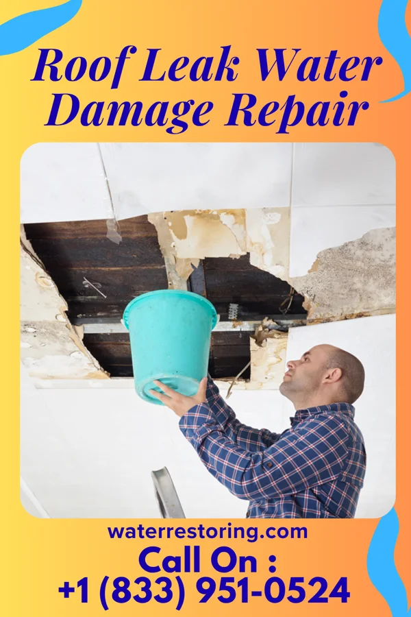Roof Leak Water Damage Repair in Frankfort, KY